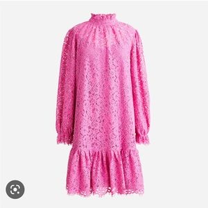 Pink J. Crew Ruffleneck Lace Dress Puff Sleeves Lined XS
